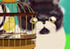 draw a childrens illustration