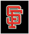 3d puff embroidery digitizing in 1 hour only