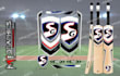 provide custom cricket bat stickers unique design