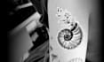 draw your custom flash tattoo