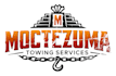 manually vector tracing, redraw logo