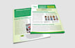 create professional newsletter design, magazine layout, email template