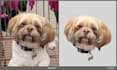 do crop out head image editing for christmas day in 1 hour