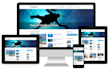 build professional wordpress website from scratch