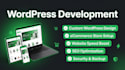 create wordpress website development, responsive website, business website