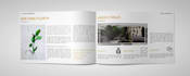 design a brochure, flyer, poster, banner, pamphlet for you