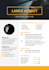 make your resume stand out with beautiful graphics