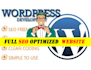 create a complete professional wordpress website