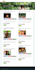 fix, customize, edit your wordpress website, plugin or theme