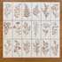 create laser cutting and engraving ready vector files