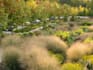 create working sustainable landscapes with native plants