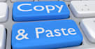 provide any type of copy paste data entry