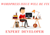 fix elementor issues and optimize speed on wordpress