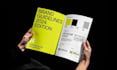 craft a professional brand identity guide