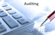 provide auditing services and analysis for the business