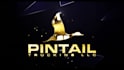 create 3 amazing professional golden logo intro animation