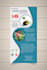 design flyers and posters