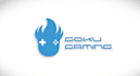 logo animation, intro outro animation