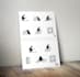design pictograms, icons and illustrations