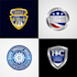 do professional 3d shield, emblem logo design in 24 hours