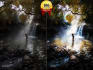 do photo editing and color correction