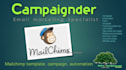do instant effective, campaign, automation