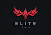 do professional signature logo design