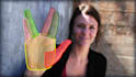 do professional like ai rotoscoping, green screen remove, keying, wire removal