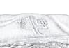 create ink drawing on the paper