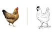 convert vector tracing or logo redraw asap