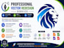 professional vector redesign, update, edit your artwork