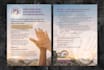 design a professional flyer