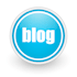 write an seo optimized article or blog post for your website