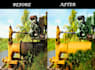 do professional photoshop editing photo retouch logo design