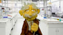 create a custom commercial with professor puppet