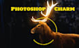 provide expert photoshop image editing and retouching