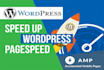 do wordpress speed optimization in 24 hour