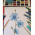 create watercolor or pencil drawn botanical illustrations