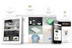 setup and customize your website with avada theme