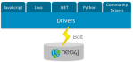 develop a web application using neo4j