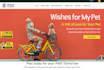 create a custom fully functional wix business website