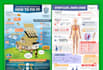 create stunning infographic in 24 hours clean satisfying