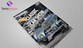 do a professional flyer design