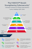 design a professional mind map, infographic, or flowchart
