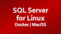 install microsoft ms sql server on ubuntu red hat  linux