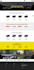 develop a professional divi website with a custom divi theme