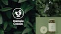 minimalist, modern, trendy and simple logo design at the lowest price
