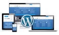 create or customize a professional wordpress website
