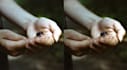 color, edit, repair, fix and invert your old photos