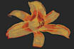 do good embroidery digitizing